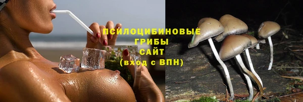 соль курить ск Алексеевка